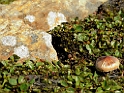 DSCN0764