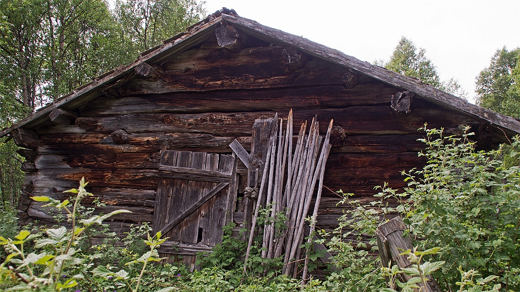 P7050287