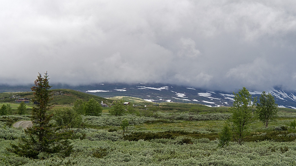 P7080352