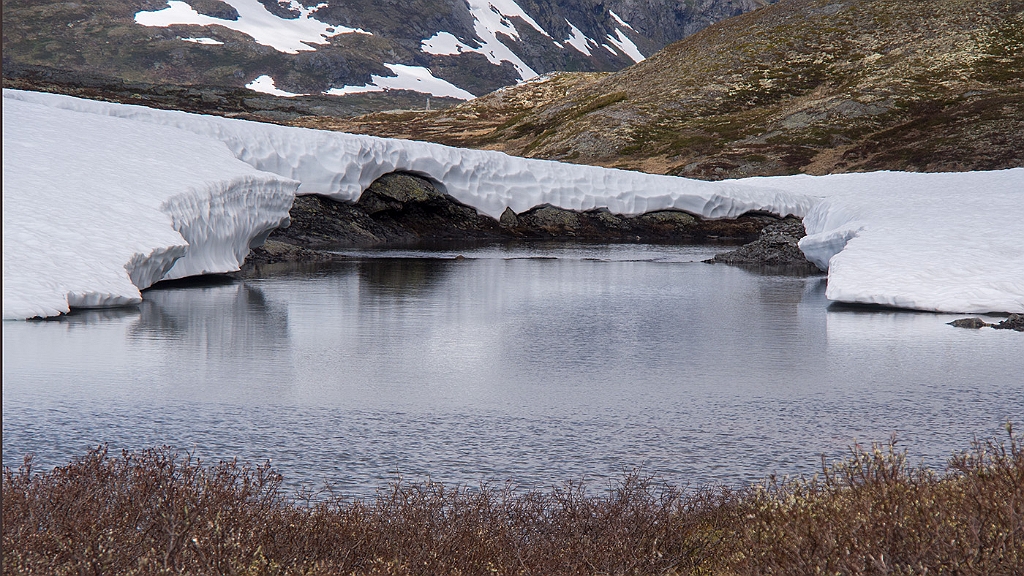 P7230118