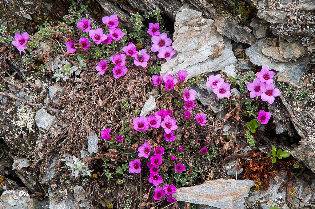 P7230128