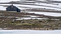 P7040082