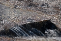 P7040161
