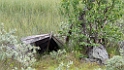 P7120006