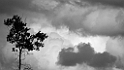 P7130023_sw