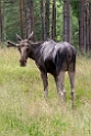 P7150387