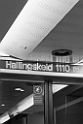 P7170042_sw