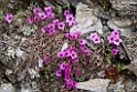 P7230128