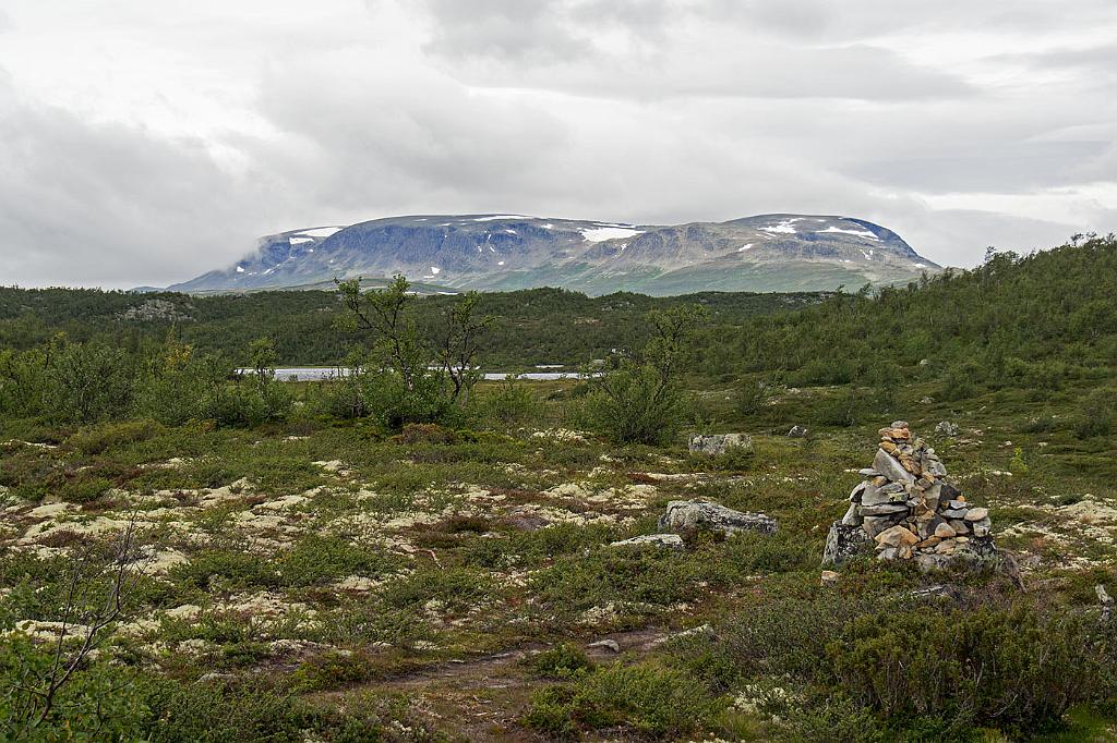 P8090199