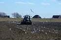 13_0104_div_2937