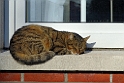 13_0104_div_2974