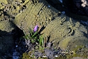 13_0104_greet_3017
