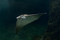13_2803_aqua_2342