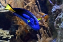 13_2803_aqua_2398