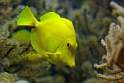 13_2803_aqua_2408
