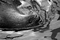 13_2803_aqua_2460_sw