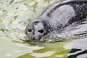 13_2803_aqua_2487