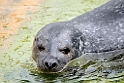 13_2803_aqua_2507