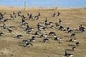 13_3003_div_2646