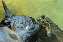 13_3103_uni_2803
