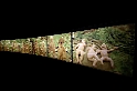13_3103_uni_2839
