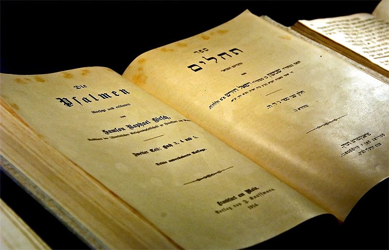 synagoge6.jpg