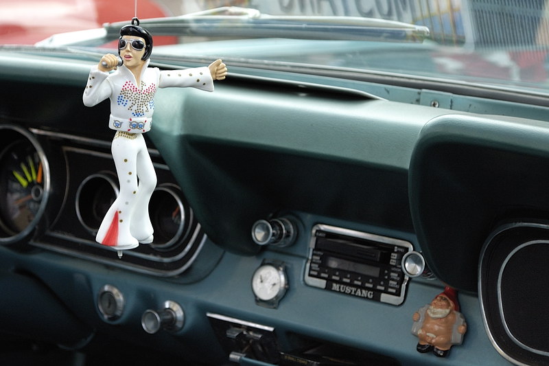 elvis