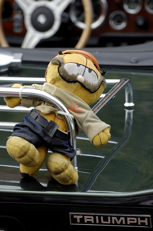 garfield