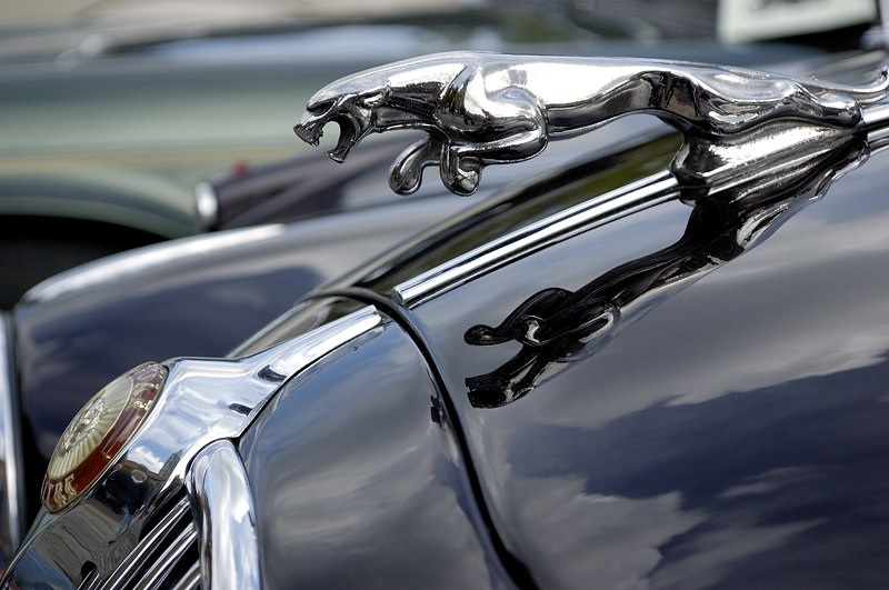 jag01