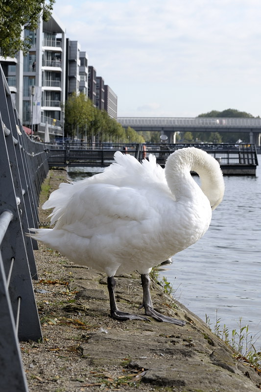 1410_duhafen_015