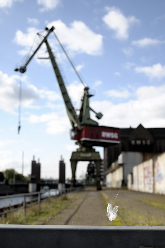 1410_duhafen_058