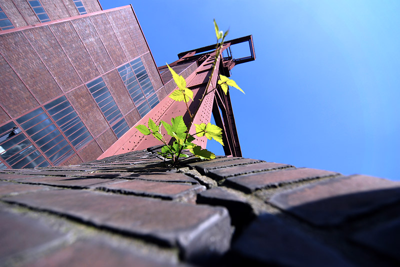 zollverein2