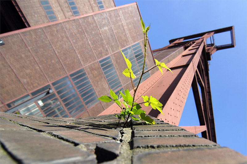 zollverein3